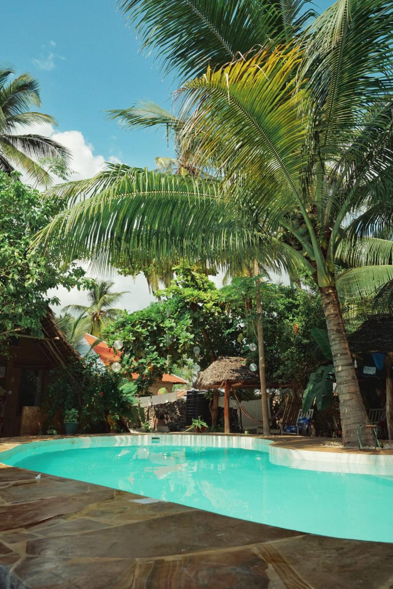 Ocean Boho House Bed and Breakfast Jambiani  Buitenkant foto