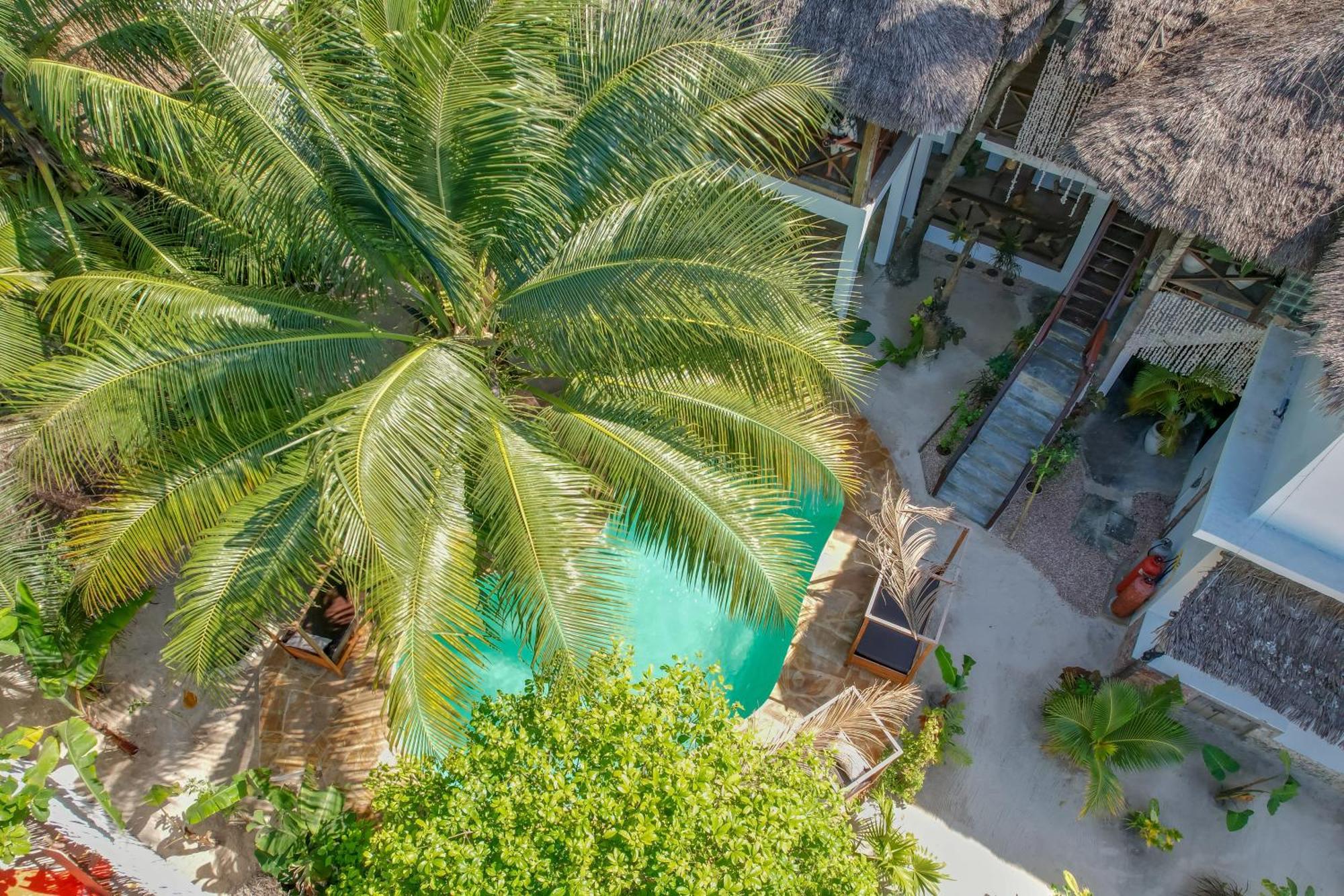 Ocean Boho House Bed and Breakfast Jambiani  Buitenkant foto